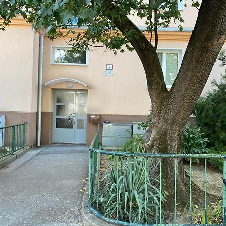 Stadium Apartment Братислава Экстерьер фото